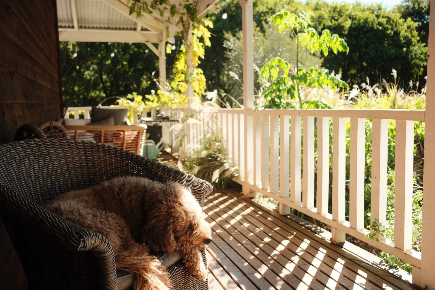 My favourite weekend morning hang out spot with a coffee, when the sun shines, whatever time of year.