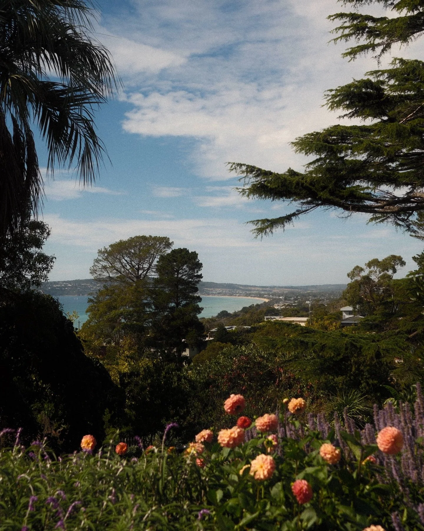 Sharing a few more from my solo trip to Victoria back in March, this time from the couple of nights I had in the Mornington Peninsula. A visit to the beautiful @diggersheronswood was my priority with some exploring around the area thrown in. I&rsquo;