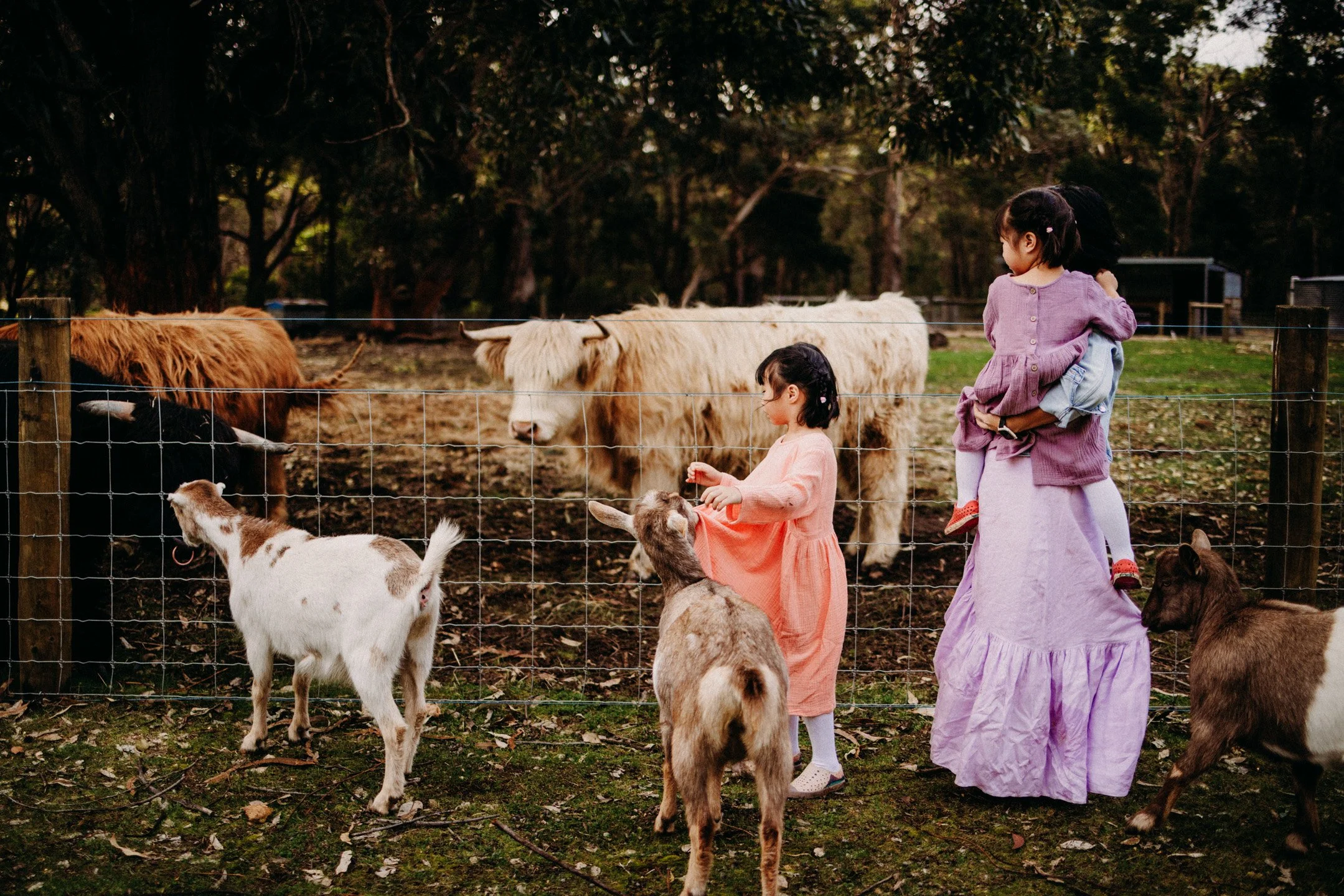 Margaret River Farmstay family photoshoot