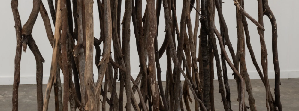 Screenshot 2026-02-08 at 11.52.52 am.png