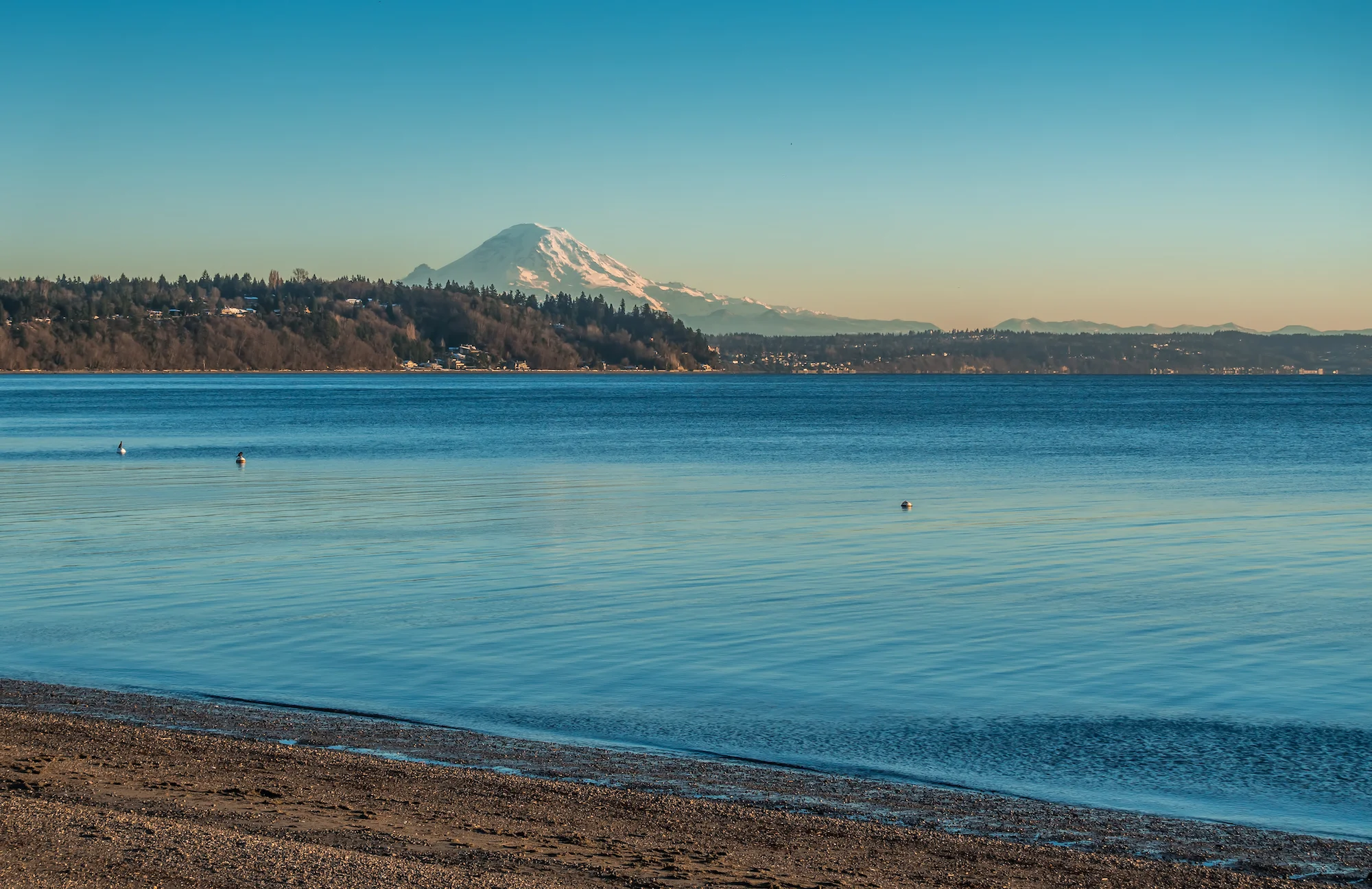 MountRainierPugetSound.jpg