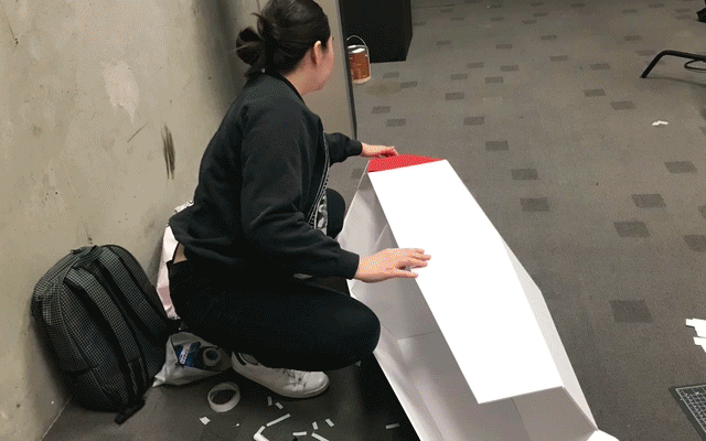 SE_process2.gif