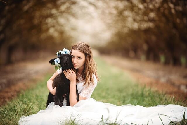 The almond blossoms are amazing this year!! A few sneaks from this past weekend
-
-
-
-
#almondblossoms #blossomsessions #centralvalleyphotographer #centralcoastphotographer #californiaphotographer #yosemitephotographer #chasinglight #goldenhour #doc