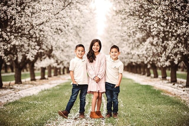 Beautiful Family making memories in the blossoms -
-
-
#almondblossoms #blossomsessions #centralvalleyphotographer #centralcoastphotographer #californiaphotographer #yosemitephotographer #chasinglight #goldenhour #documentyourdays #thatsdarling #fres