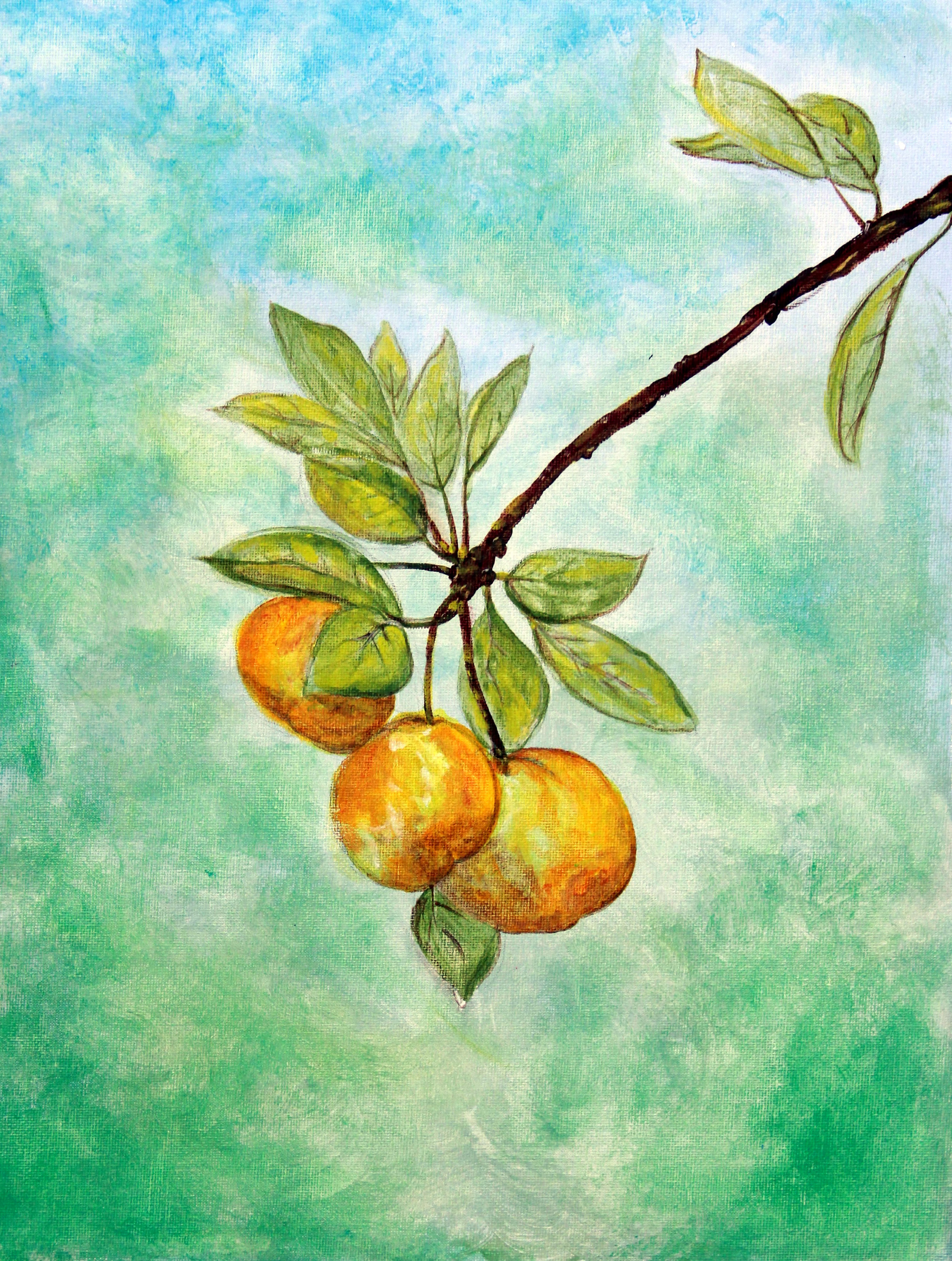 3) Hanging Fruit