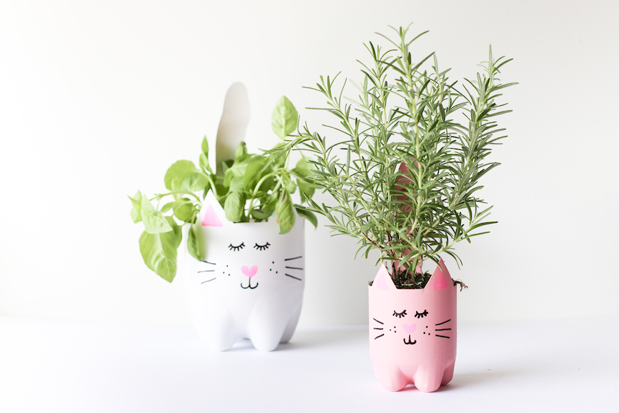 Fun Friday - Earth Day Planter