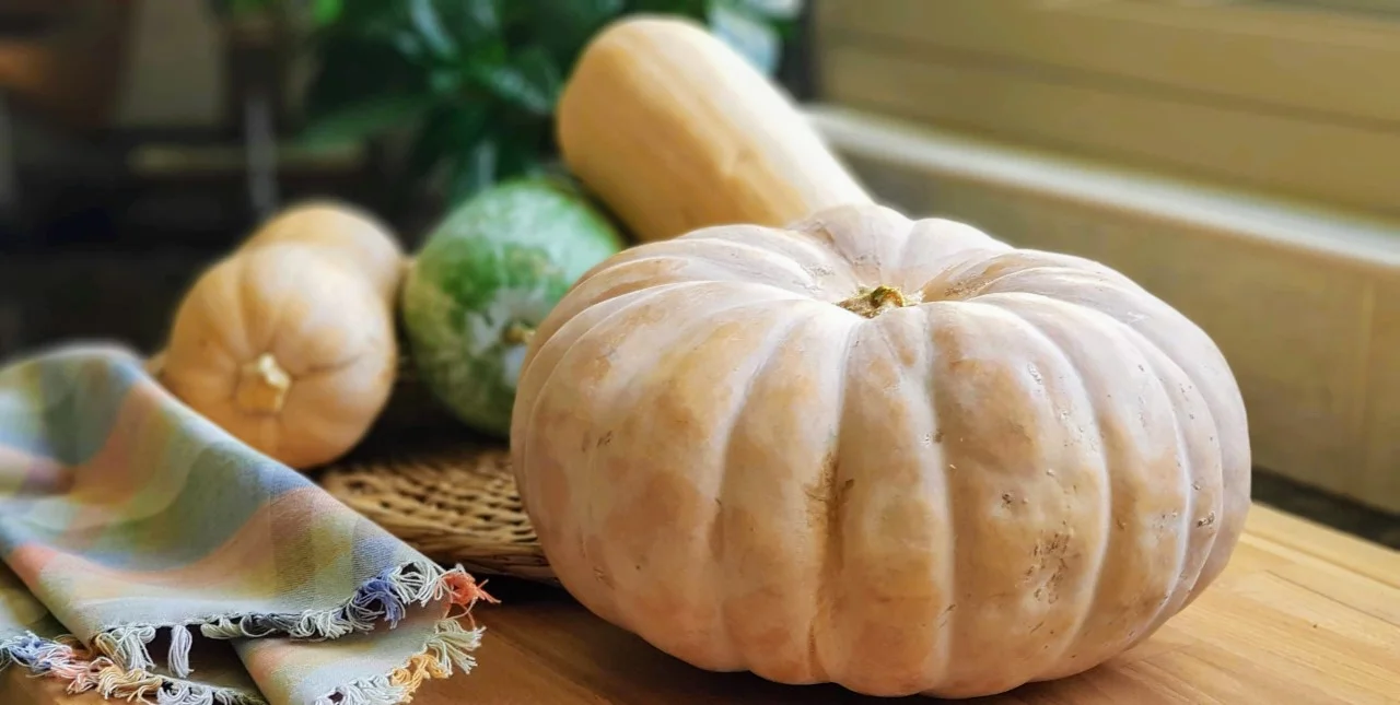 thumbnail_Pumpkin.jpg