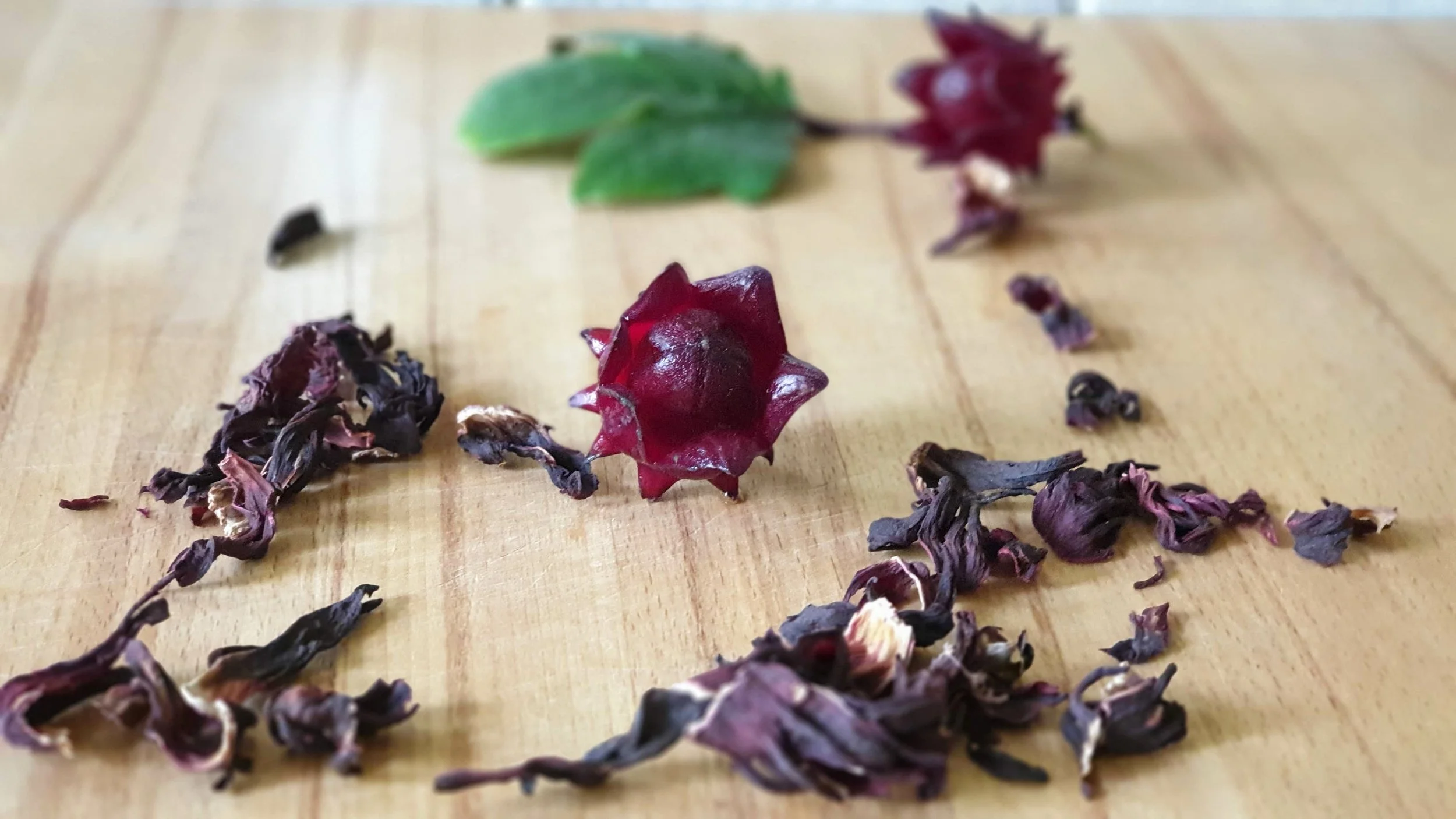 hibiscus flower.jpg