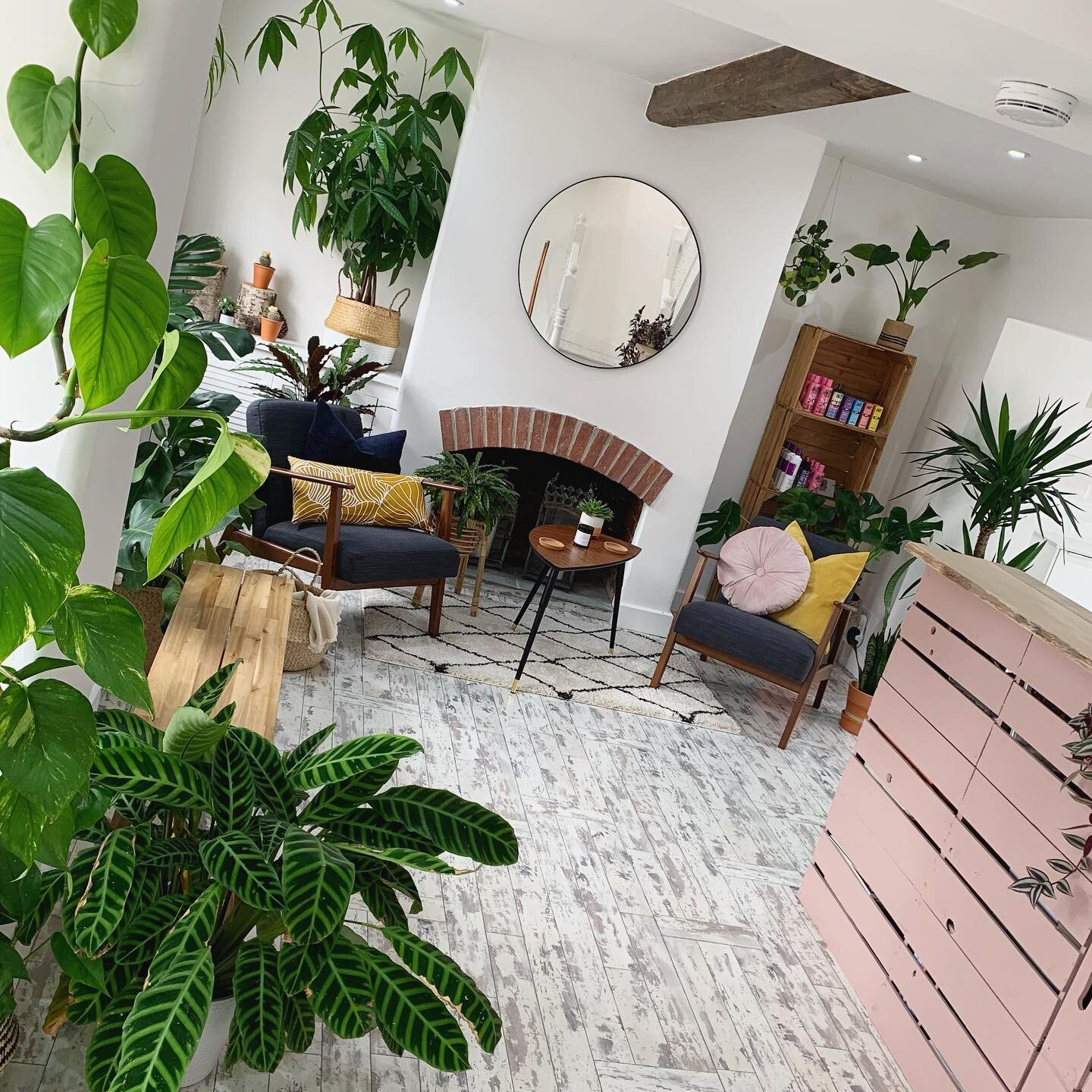 It might be work, but it&rsquo;s our favourite place to be 🪴
Did you know - plants promote feelings of happiness, calm &amp; relaxation, teamed with some beautiful hair and good coffee our tiny jungle feels like a little hideaway 🍃