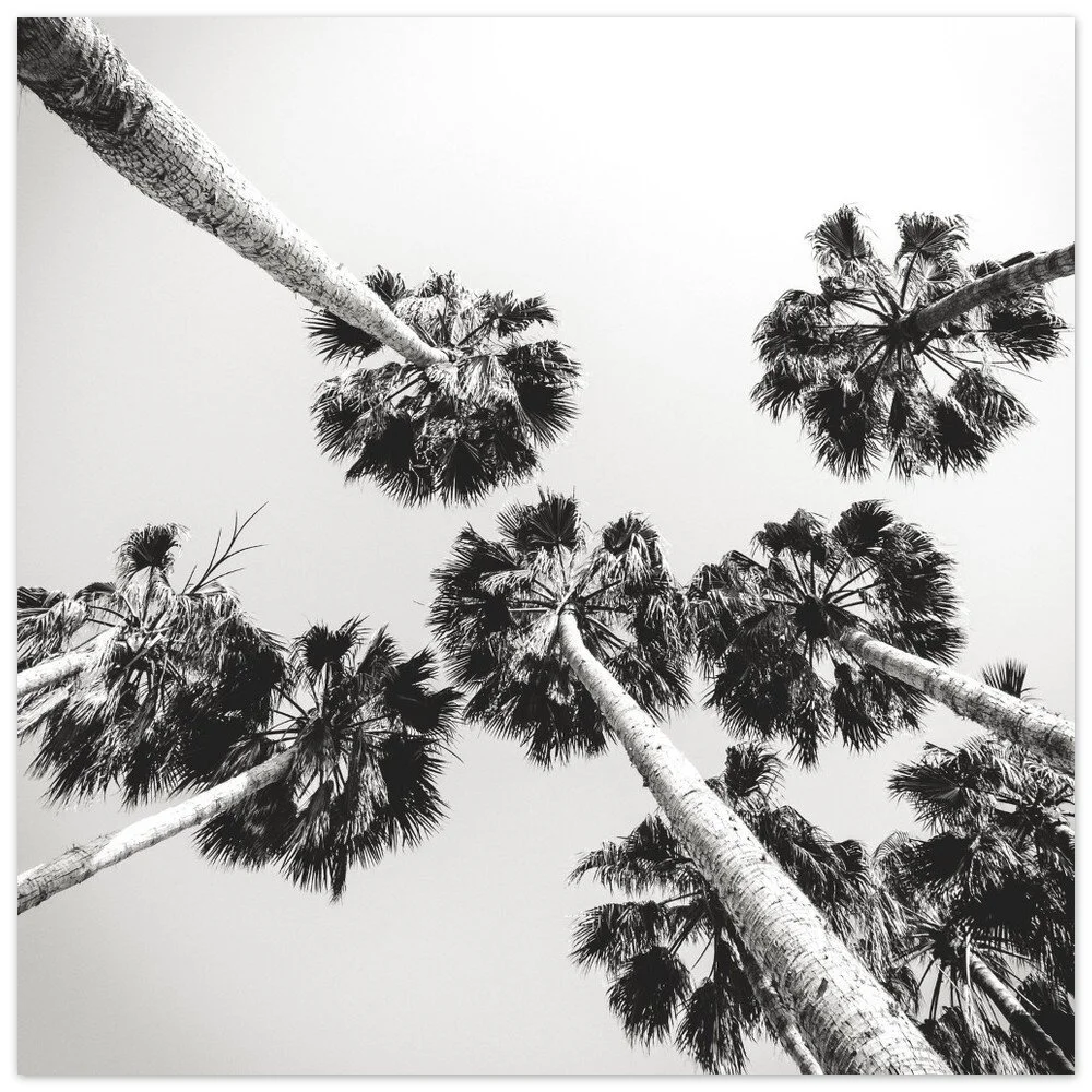 tmp-358-EGs6l7B4jjdy