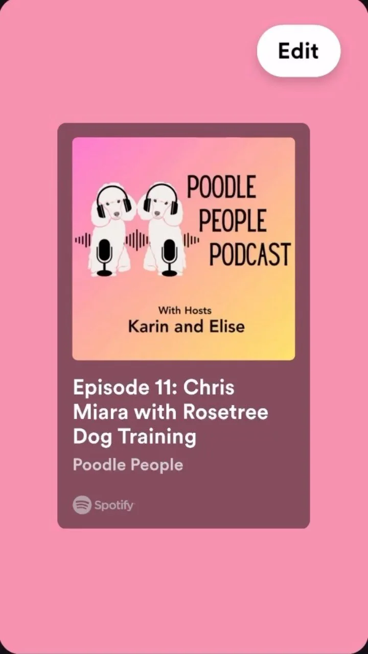 Puppy Waiting List — Scotch Corner Standard Poodles