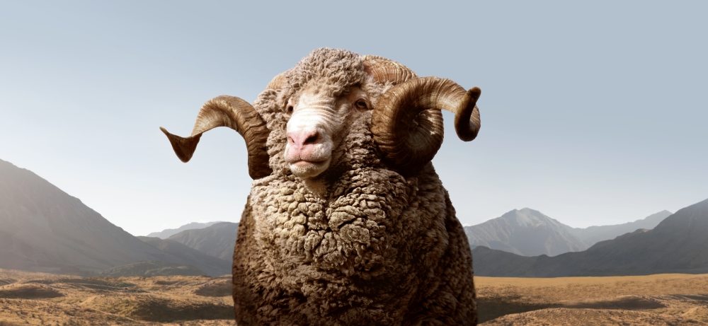 IB_Legacy_08_mt_with_moveable_ram_summer_version.jpg