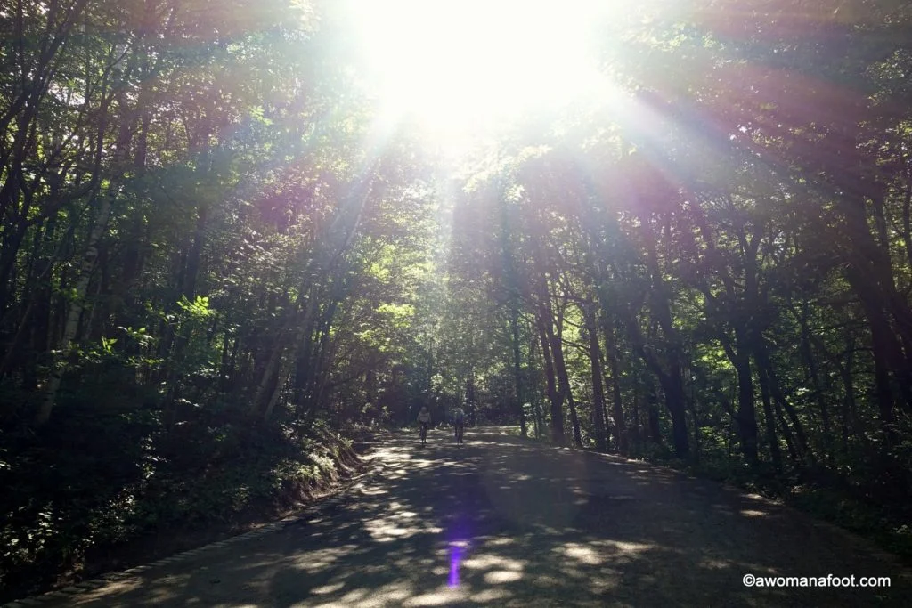 Lovely green spaces, fascinating history and jaw-dropping views: why visit to Parc du Mont-Royal is a must! Quebec | Montréal | Canada | Cityscapes | Best city parks | City guide | Awomanafoot.com