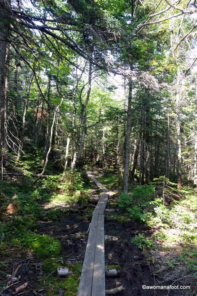 Hiking Solo Le Sentier Des Caps De Charlevoix In Quebec Canada A Woman Afoot