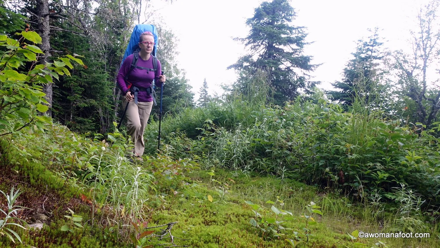 merino wool hiking clothes