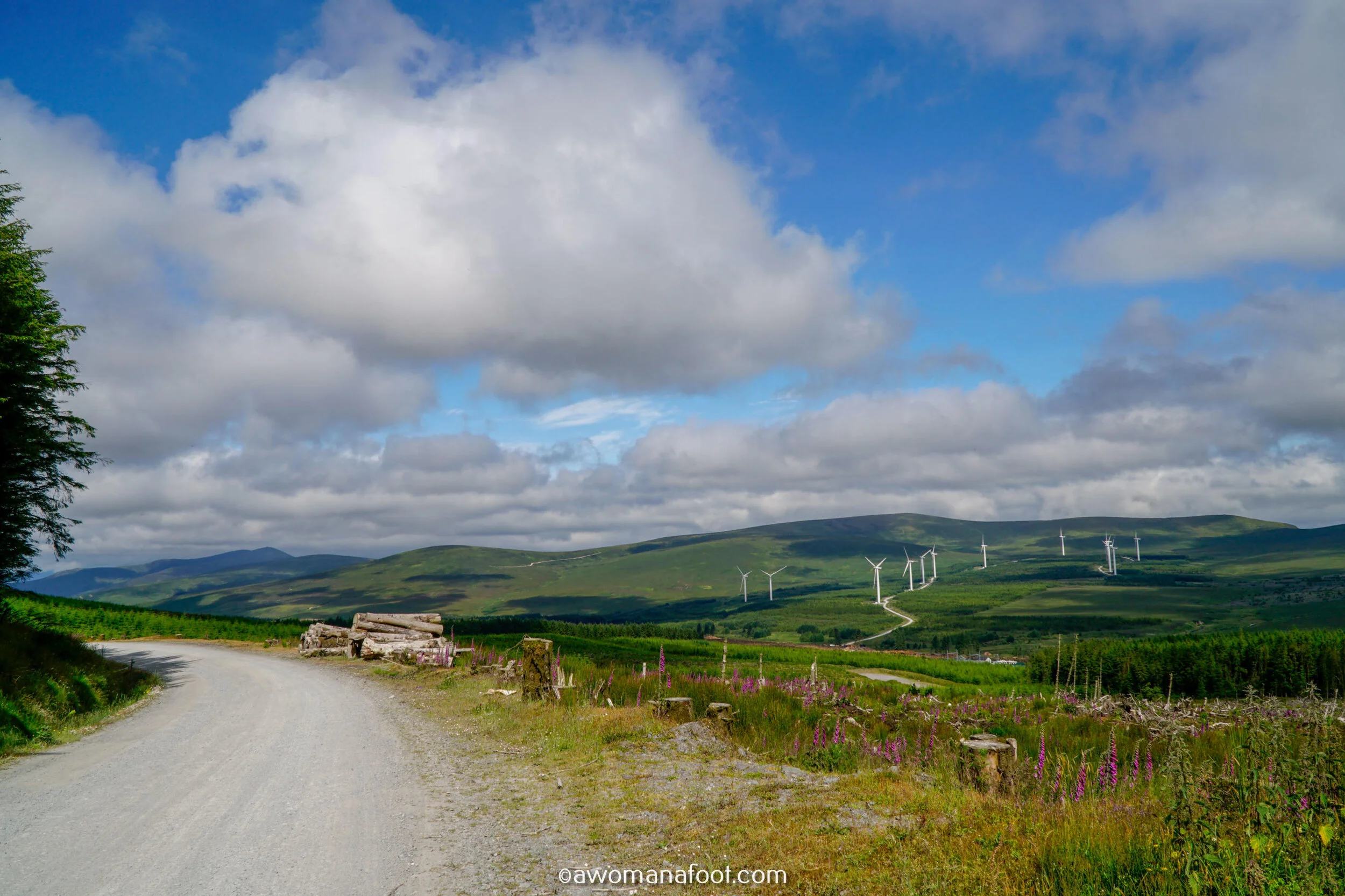 Hiking Solo the beautiful Sli Gaeltacht Mhuscrai trail in Ireland! First part: from Millstreet to Ballyvourney @ awomanafoot.com | Irish Trails | Hiking in Ireland | Active holidays in Ireland | West Cork Trails | Female Solo Hikers | European Trails | #Ireland #Hiking #FemaleSoloTravel #Trails #SliGaeltachtMhuscrai #Cork #HikingSolo