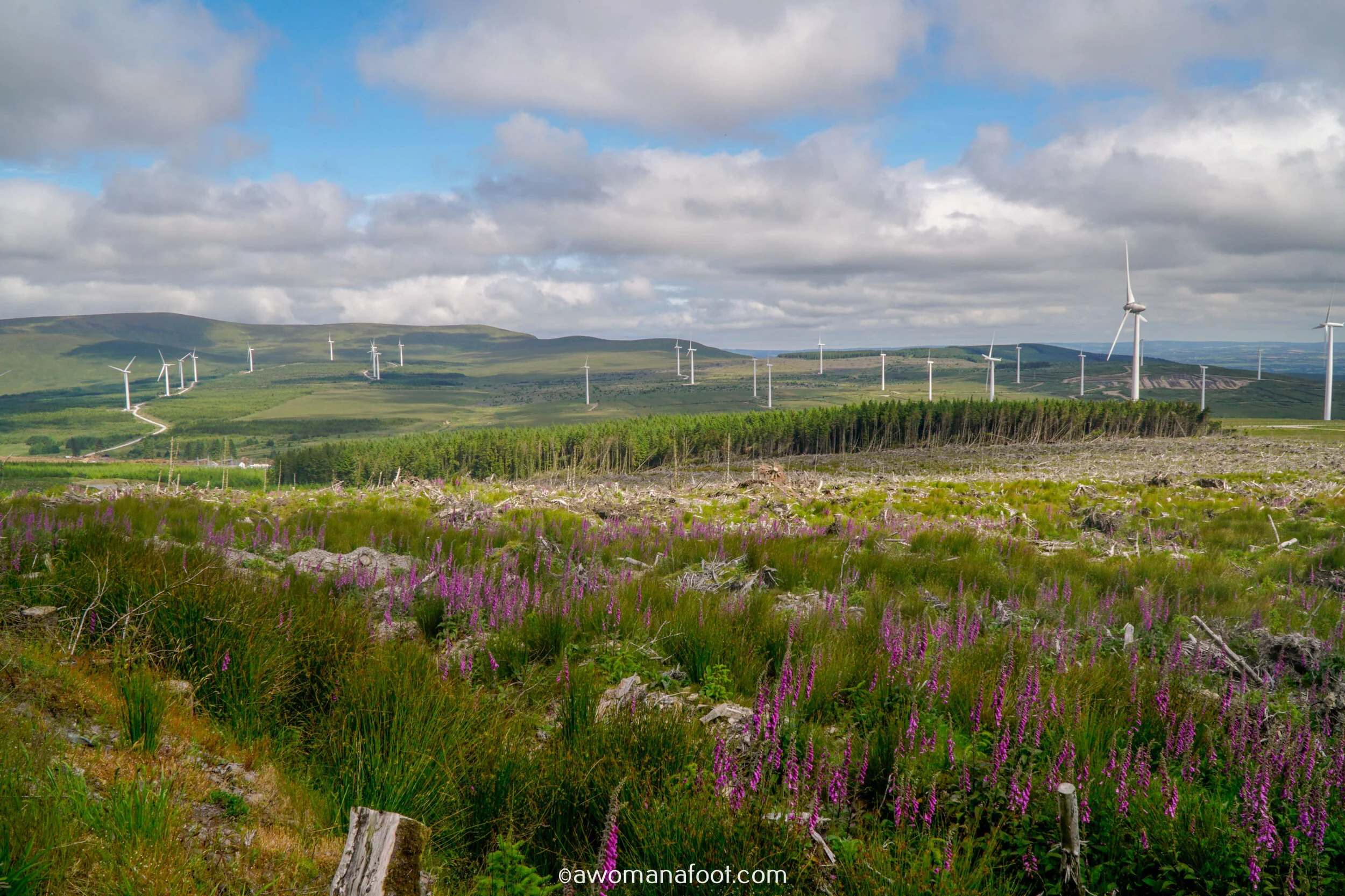 Hiking Solo the beautiful Sli Gaeltacht Mhuscrai trail in Ireland! First part: from Millstreet to Ballyvourney @ awomanafoot.com | Irish Trails | Hiking in Ireland | Active holidays in Ireland | West Cork Trails | Female Solo Hikers | European Trails | #Ireland #Hiking #FemaleSoloTravel #Trails #SliGaeltachtMhuscrai #Cork #HikingSolo
