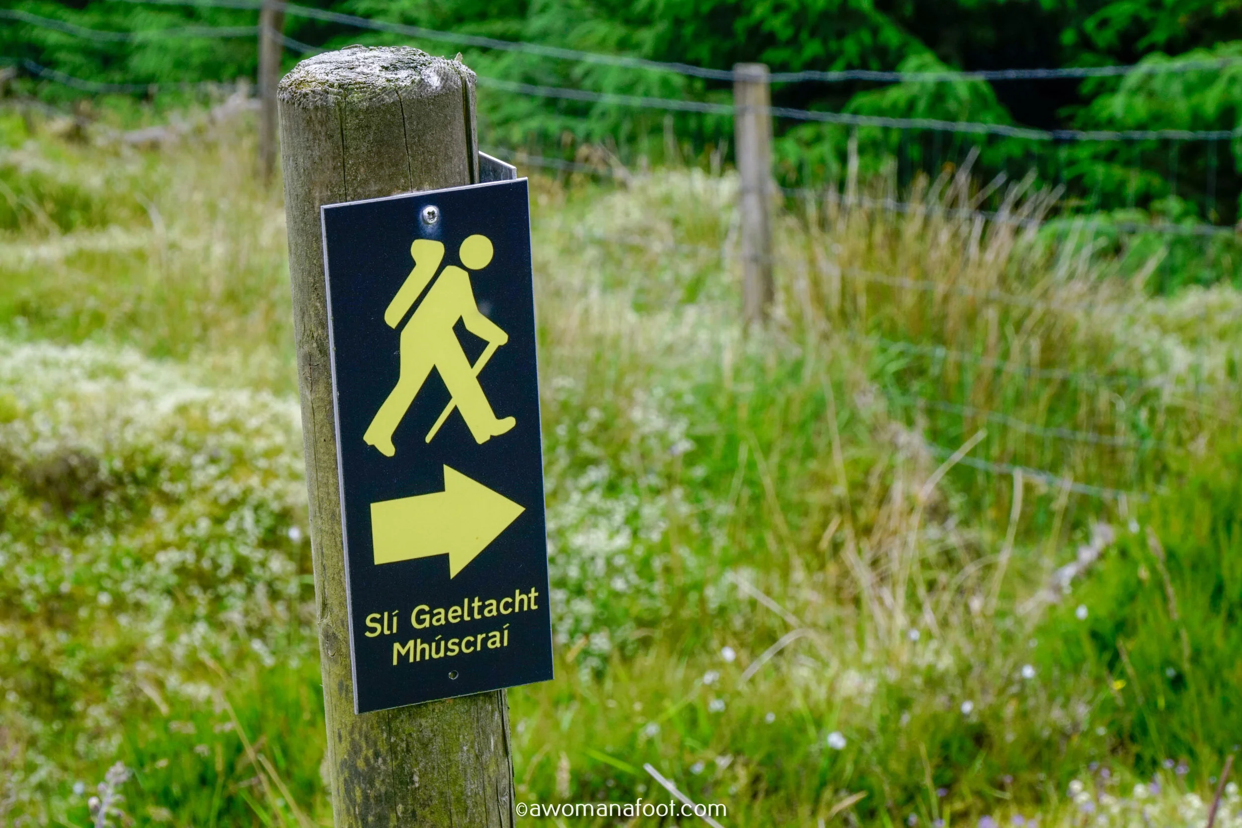 Hiking Solo the beautiful Sli Gaeltacht Mhuscrai trail in Ireland! First part: from Millstreet to Ballyvourney @ awomanafoot.com | Irish Trails | Hiking in Ireland | Active holidays in Ireland | West Cork Trails | Female Solo Hikers | European Trails | #Ireland #Hiking #FemaleSoloTravel #Trails #SliGaeltachtMhuscrai #Cork #HikingSolo