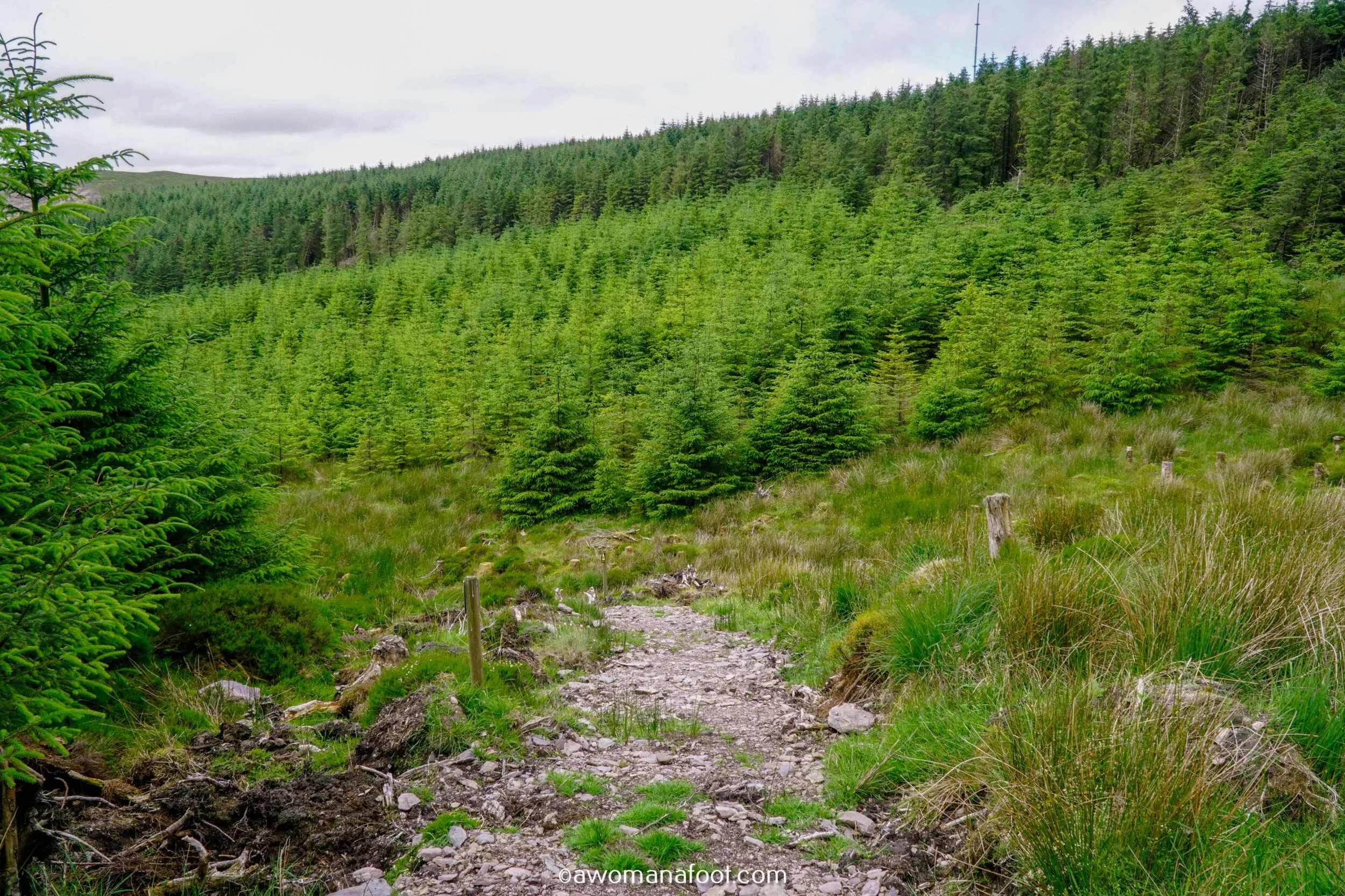 Hiking Solo the beautiful Sli Gaeltacht Mhuscrai trail in Ireland! First part: from Millstreet to Ballyvourney @ awomanafoot.com | Irish Trails | Hiking in Ireland | Active holidays in Ireland | West Cork Trails | Female Solo Hikers | European Trails | #Ireland #Hiking #FemaleSoloTravel #Trails #SliGaeltachtMhuscrai #Cork #HikingSolo