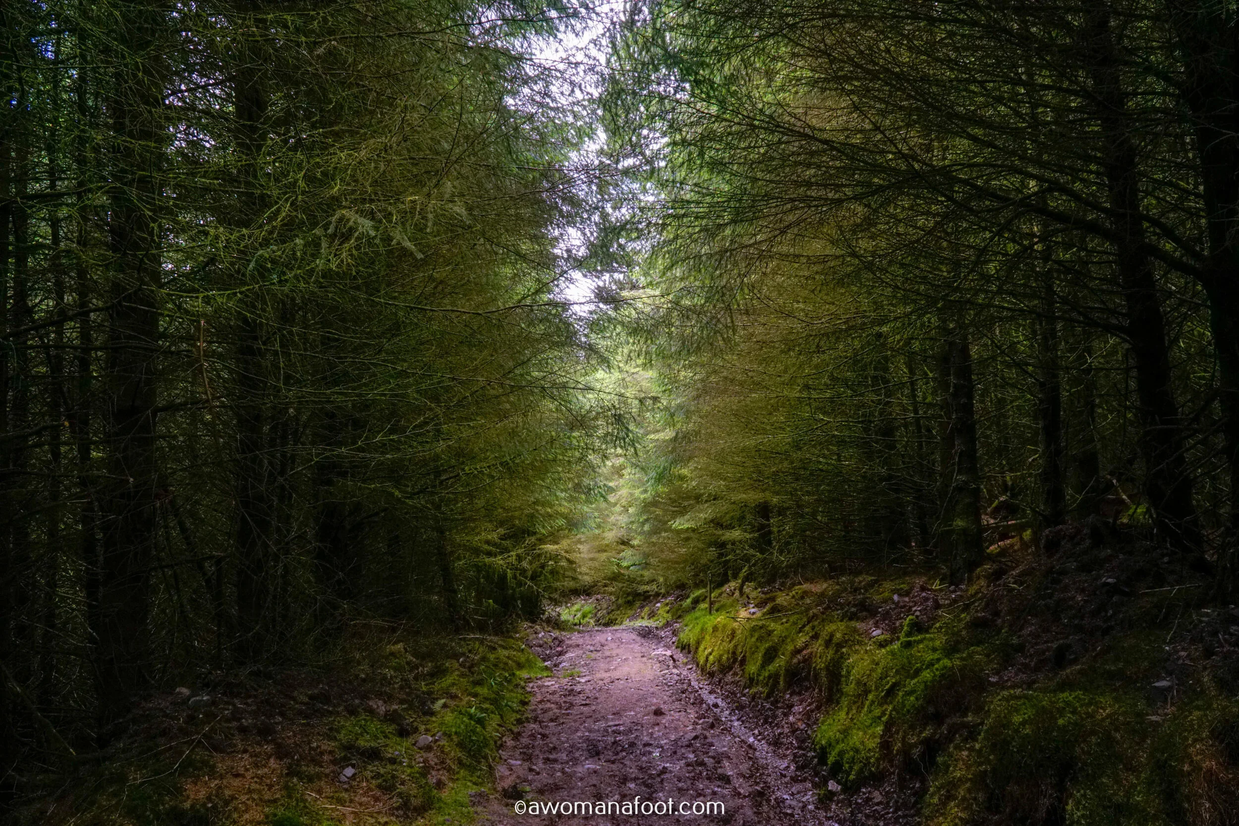 Hiking Solo the beautiful Sli Gaeltacht Mhuscrai trail in Ireland! First part: from Millstreet to Ballyvourney @ awomanafoot.com | Irish Trails | Hiking in Ireland | Active holidays in Ireland | West Cork Trails | Female Solo Hikers | European Trails | #Ireland #Hiking #FemaleSoloTravel #Trails #SliGaeltachtMhuscrai #Cork #HikingSolo