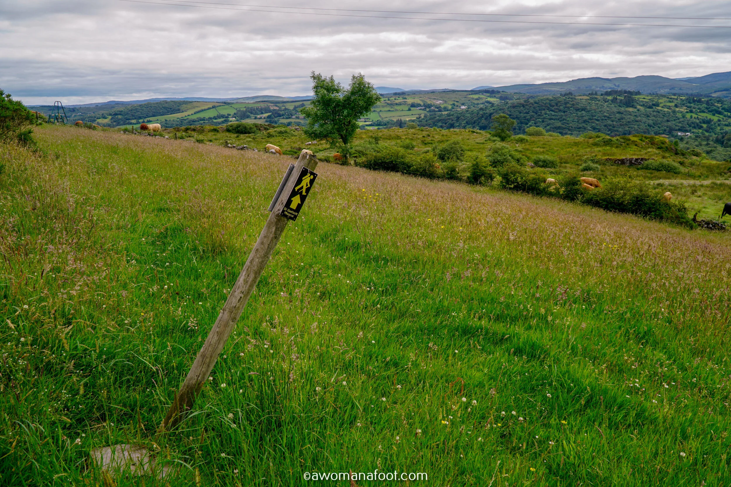 Hiking Solo the beautiful Sli Gaeltacht Mhuscrai trail in Ireland! First part: from Millstreet to Ballyvourney @ awomanafoot.com | Irish Trails | Hiking in Ireland | Active holidays in Ireland | West Cork Trails | Female Solo Hikers | European Trails | #Ireland #Hiking #FemaleSoloTravel #Trails #SliGaeltachtMhuscrai #Cork #HikingSolo