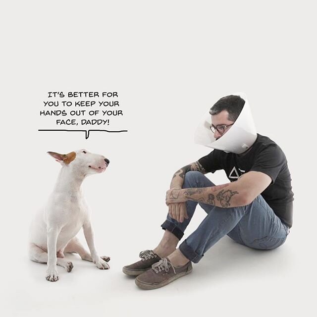 A little humor today can go a long way? Stay safe and snuggle your puppers and kitties, y&rsquo;all. ✌️❤️🐶🐱 @rafaelmantesso #tinybutmighty