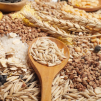 Fibre.png