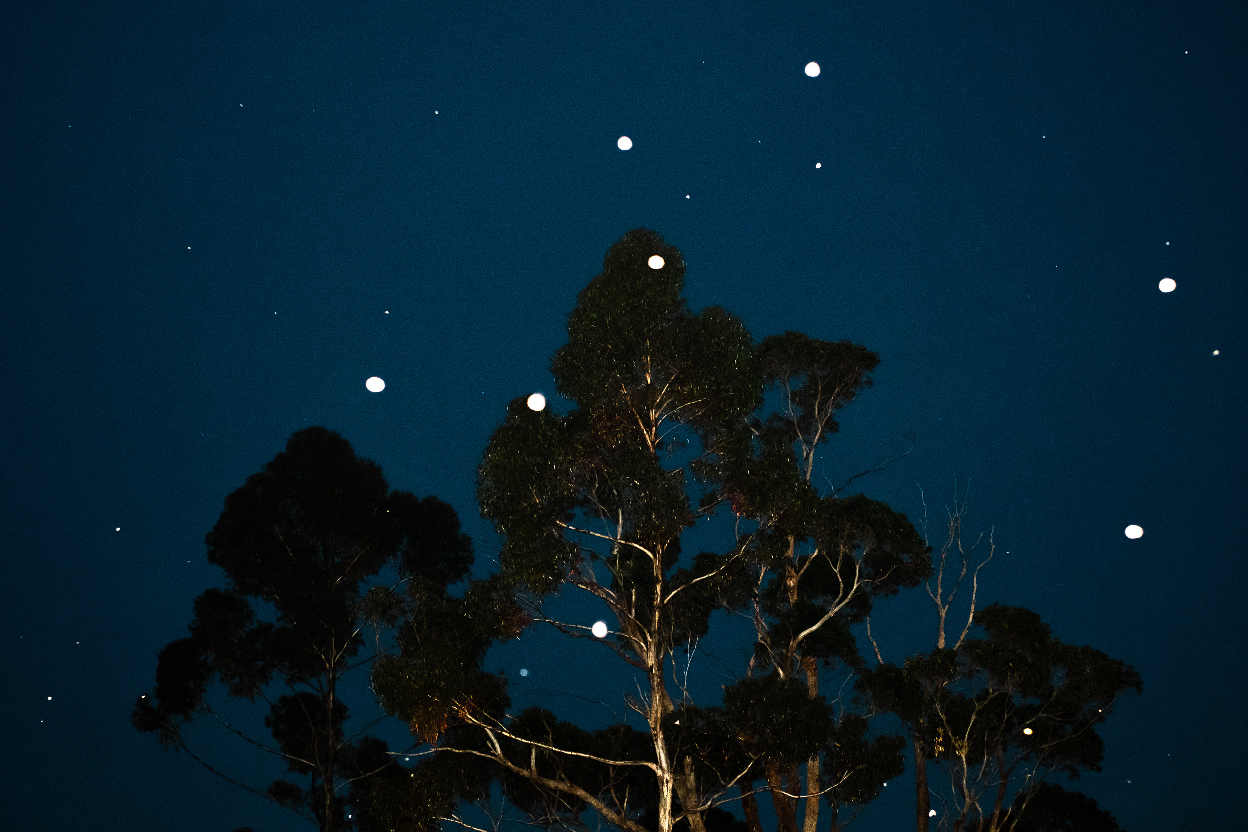 StarryKong-19.jpg