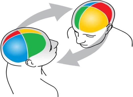 PRISM brains.jpg
