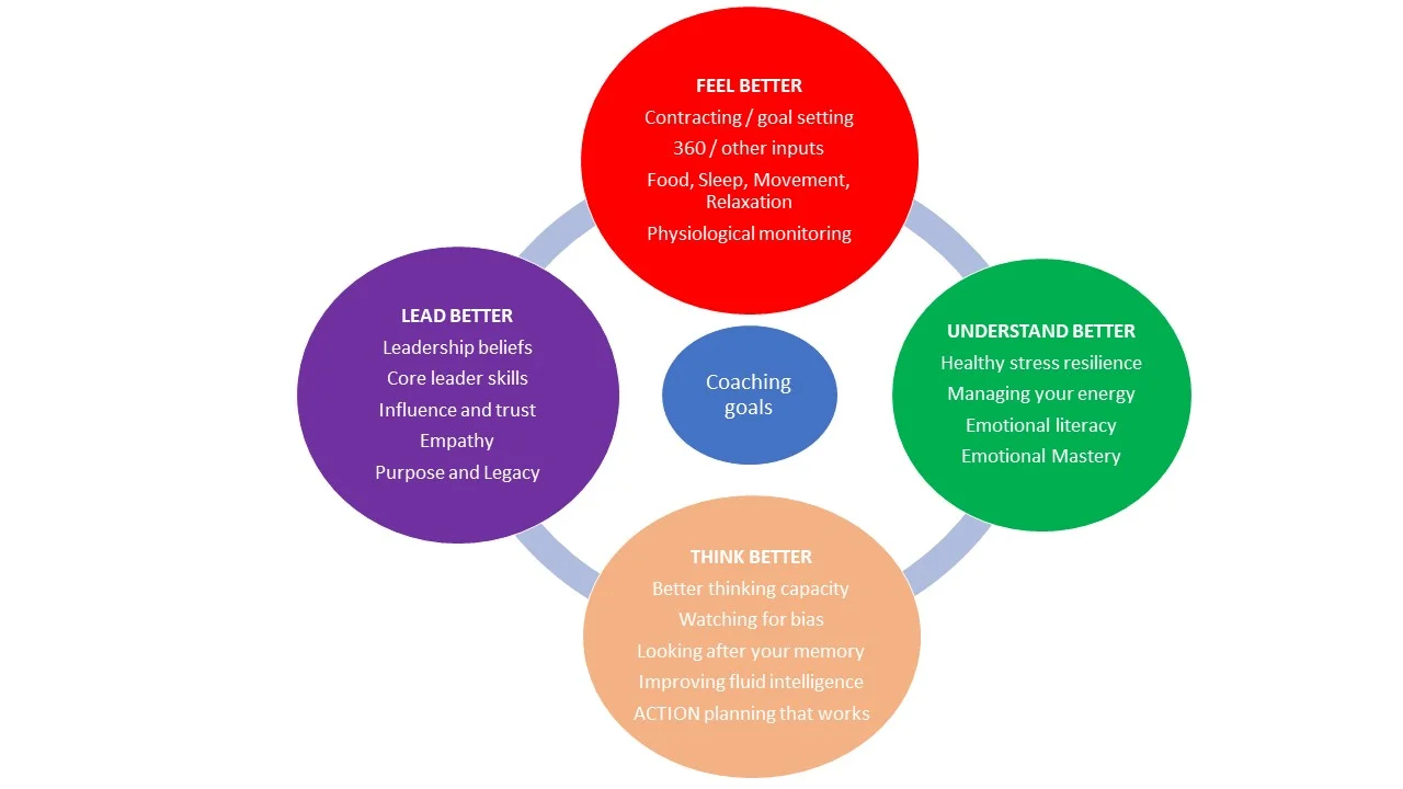 UT illustrative coaching process .jpg