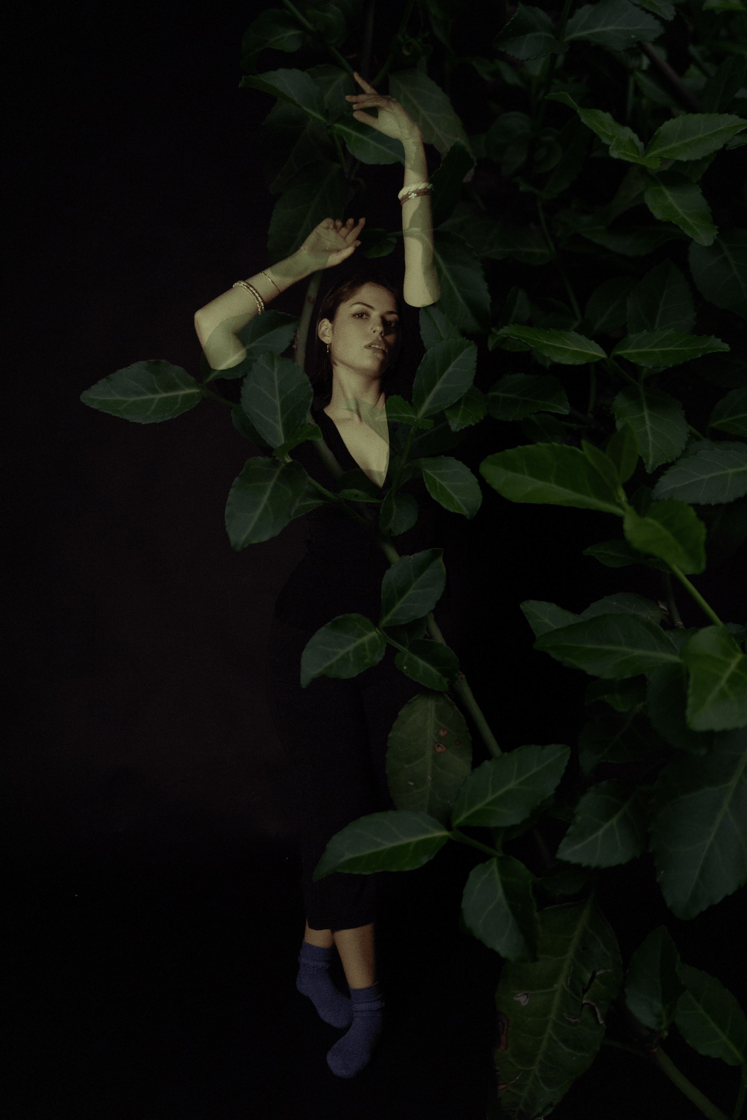 shetree3.png
