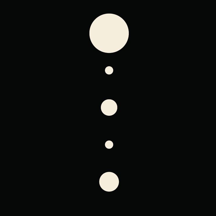 CIRCULUS MULTIPLEX
