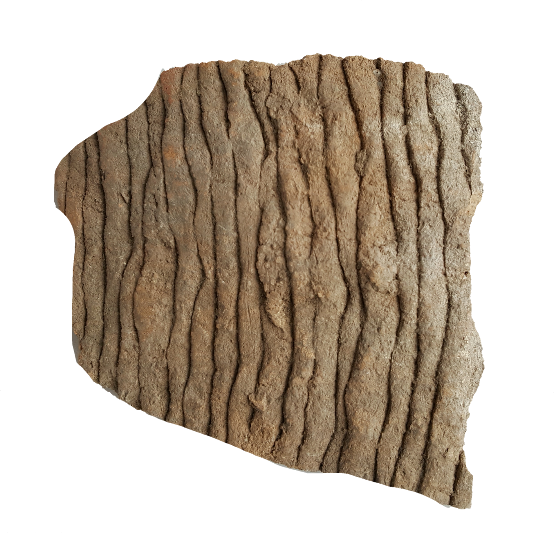 1491198162020.png