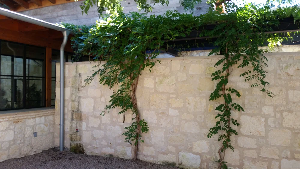 20160930_123805.jpg