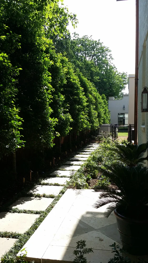 20140520_100523.jpg