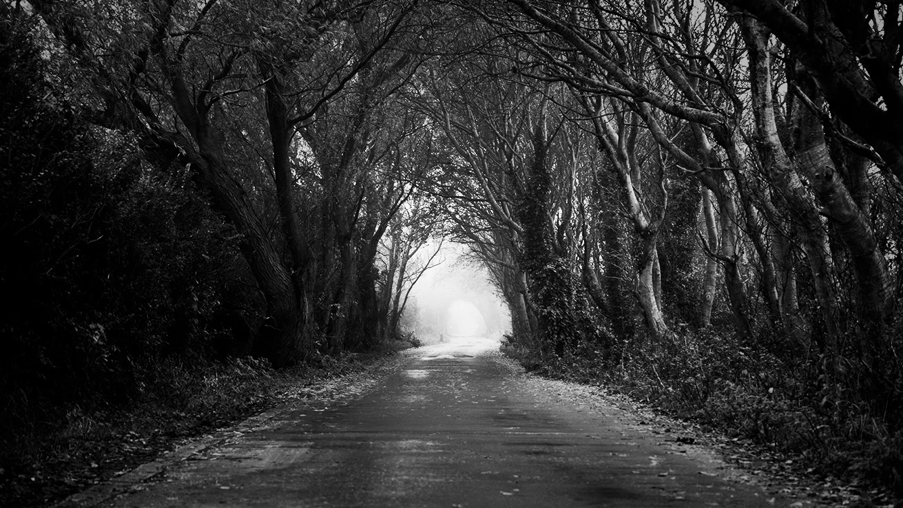 Green Lane