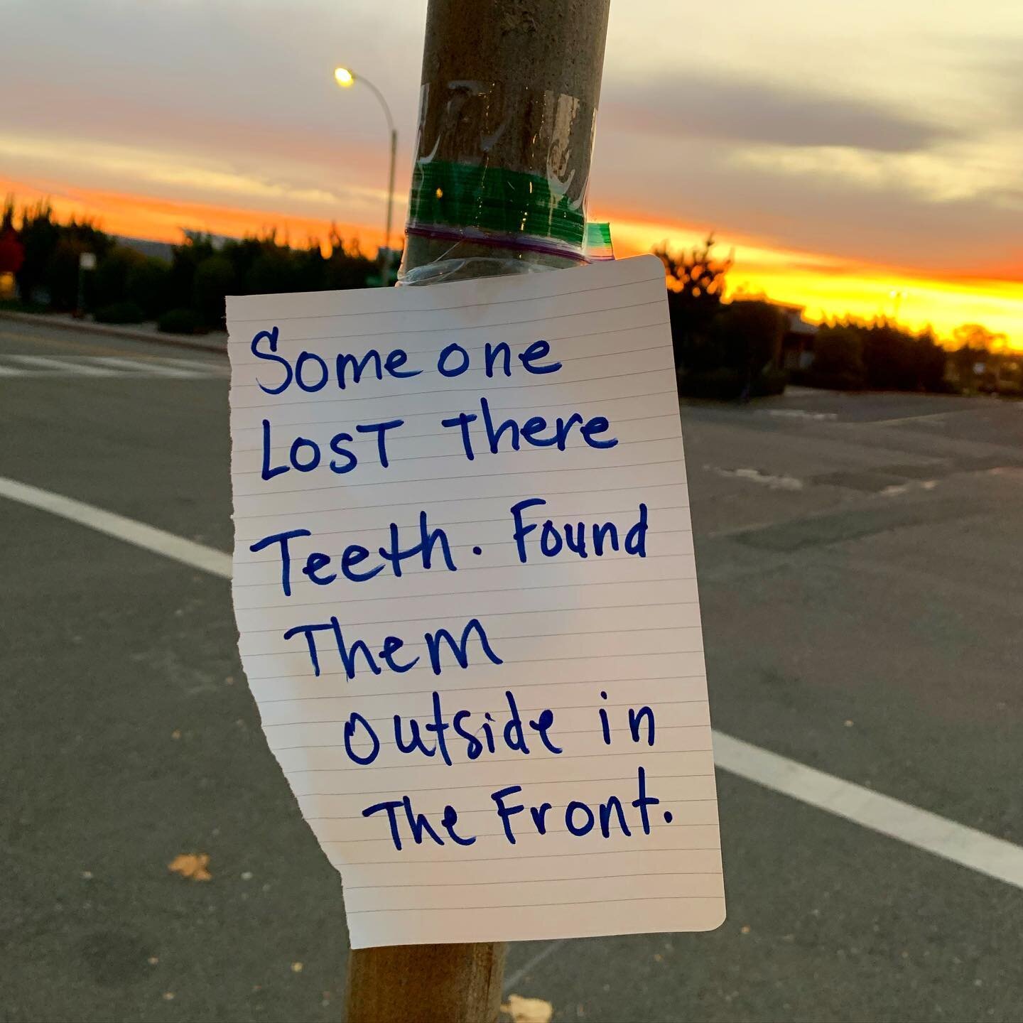SOLVED! The Mystery of the Lost Teeth. 🦷