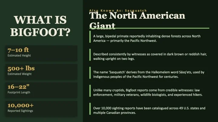 Bigfoot.003.jpeg