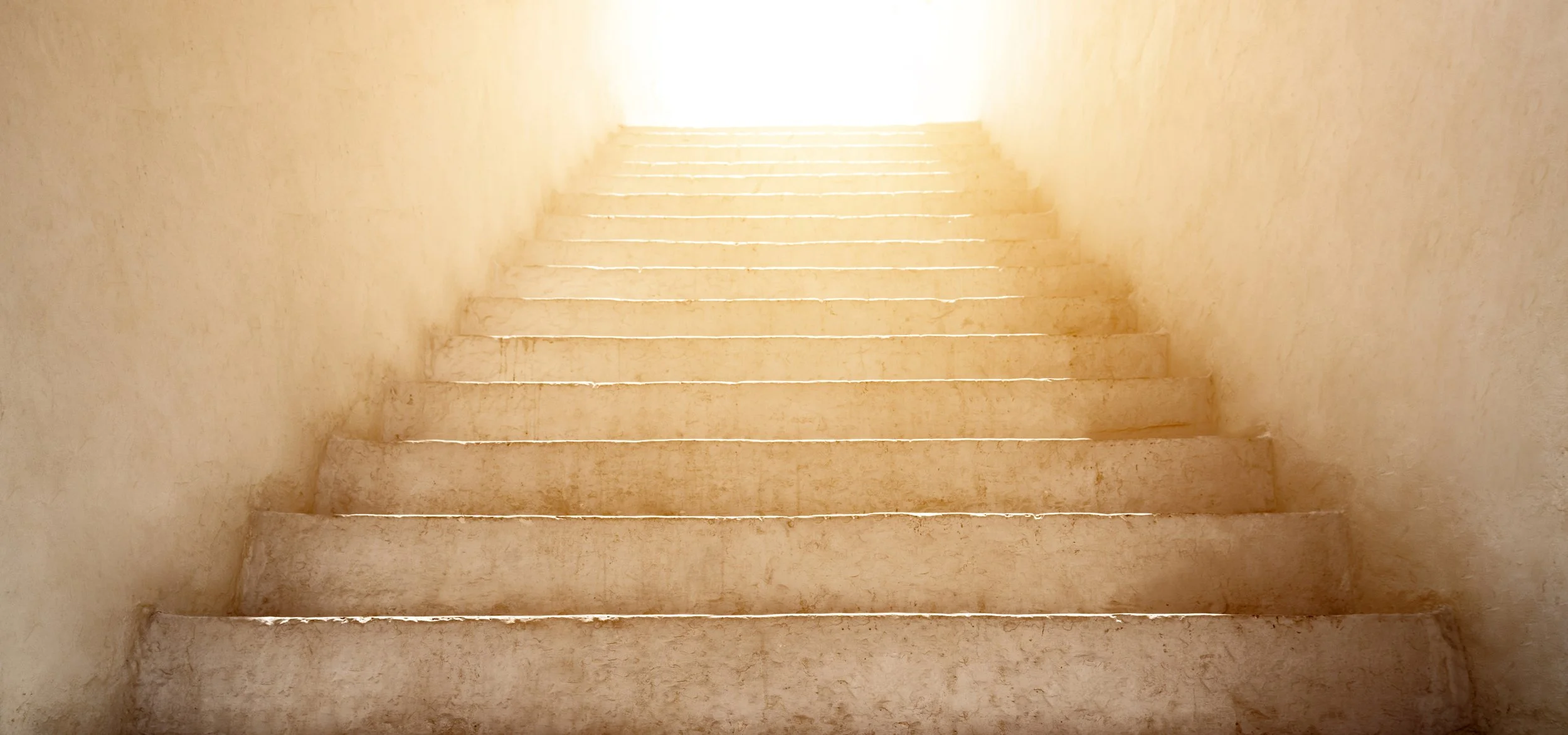 2023년 VIP 초청 잔치 안내