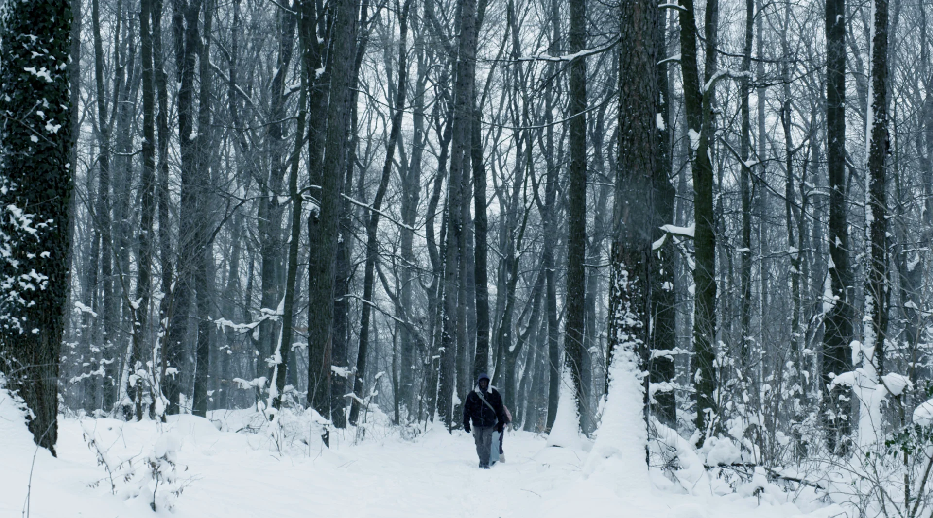 Im_Wald_1_Still_web.jpg