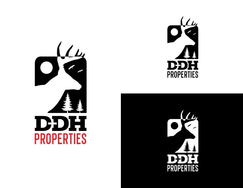 DDHPROPERTIES_LOGO_4CV.jpg