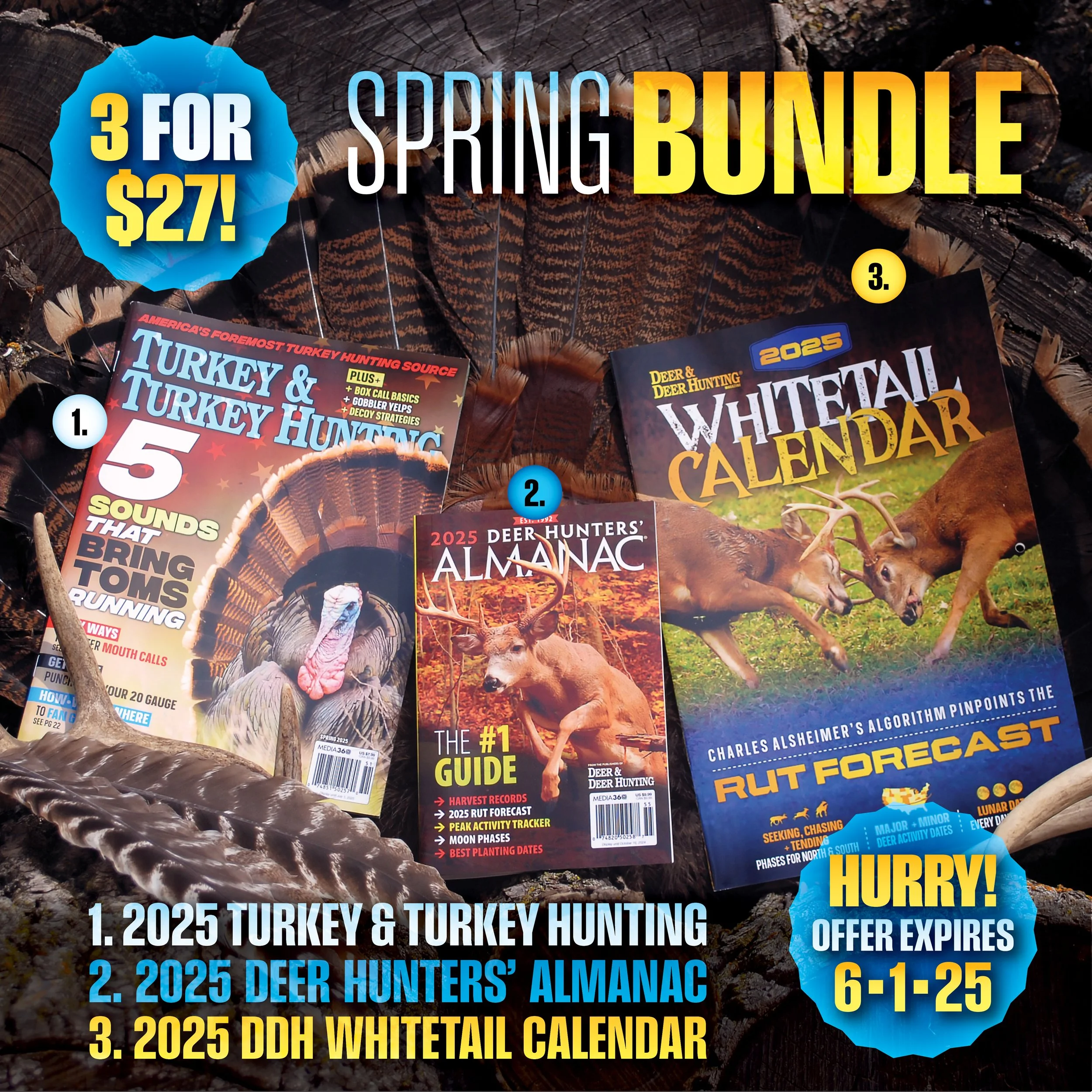 2025DDHTTH_SPRINGBUNDLE_SOCIAL1080x1080.jpg