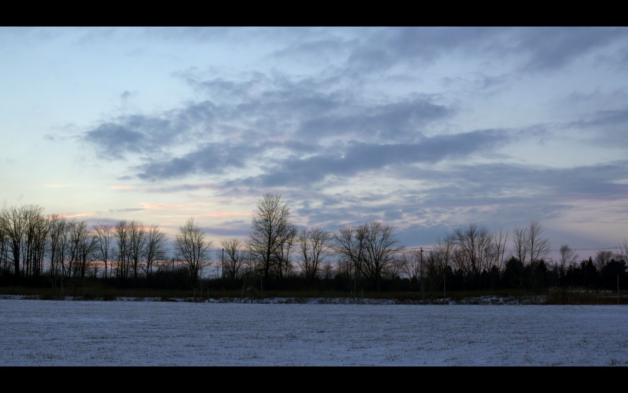 A snow-covered landscape at twilight, tall bare trees stand in the distance