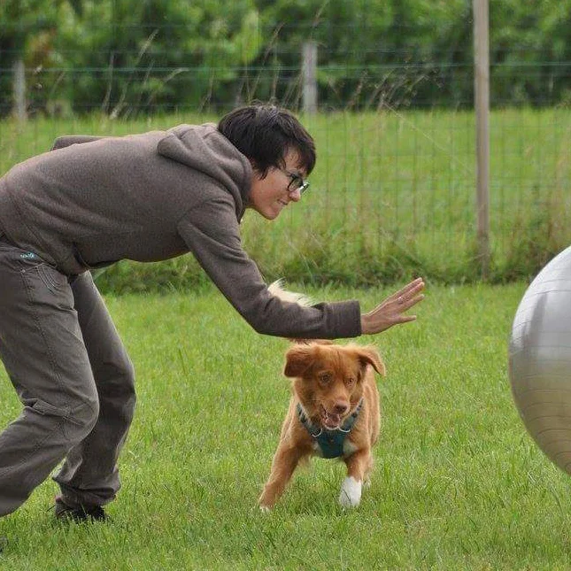 muzo-lyon-chien-treibball-camille-nguyen-miette.jpg