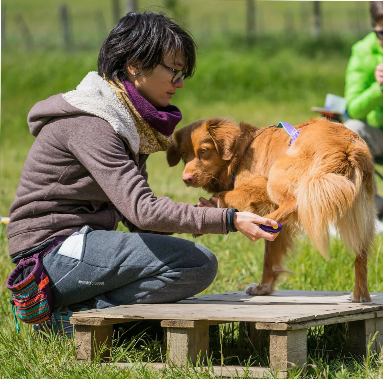 muzo-lyon-chien-proprioception-fitness-ipsilateral.jpg