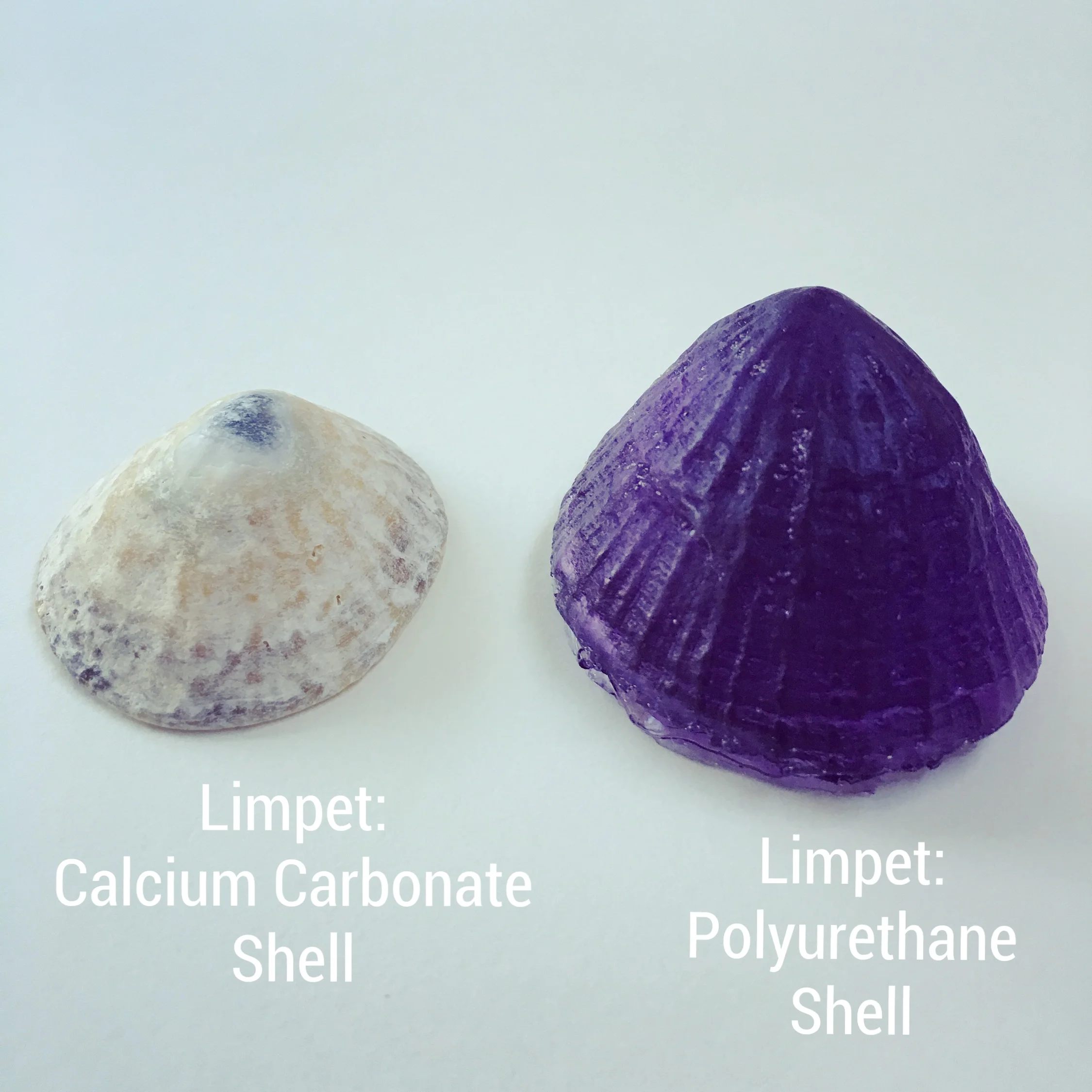 SuperNatural Plastic Eaters