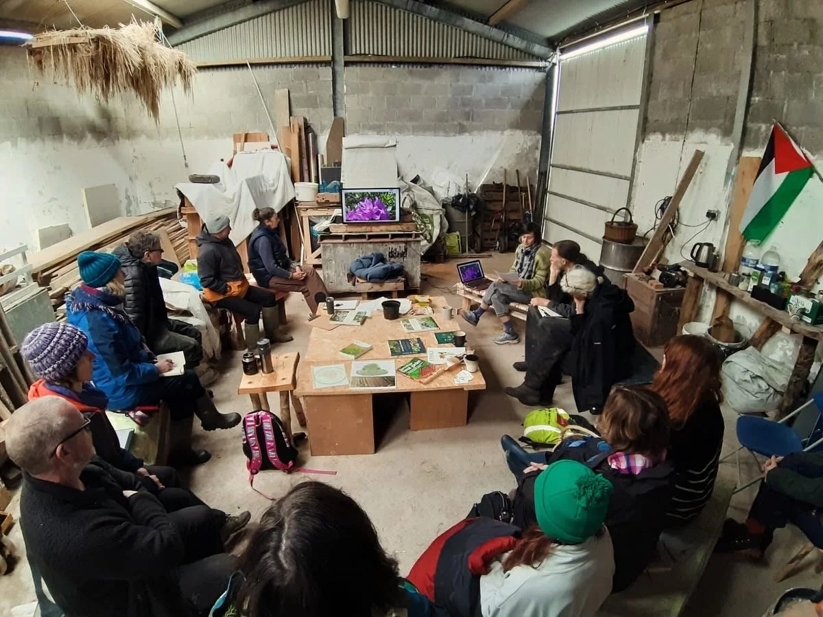 The Bee and the Plant