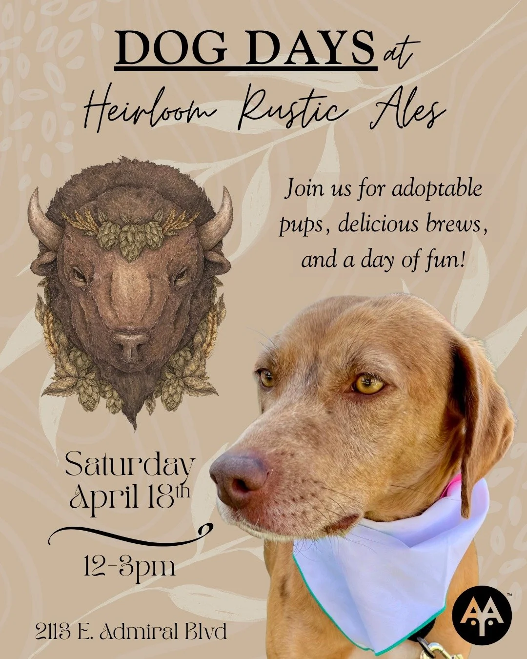 Animal Aid Tulsa - Adoption Event