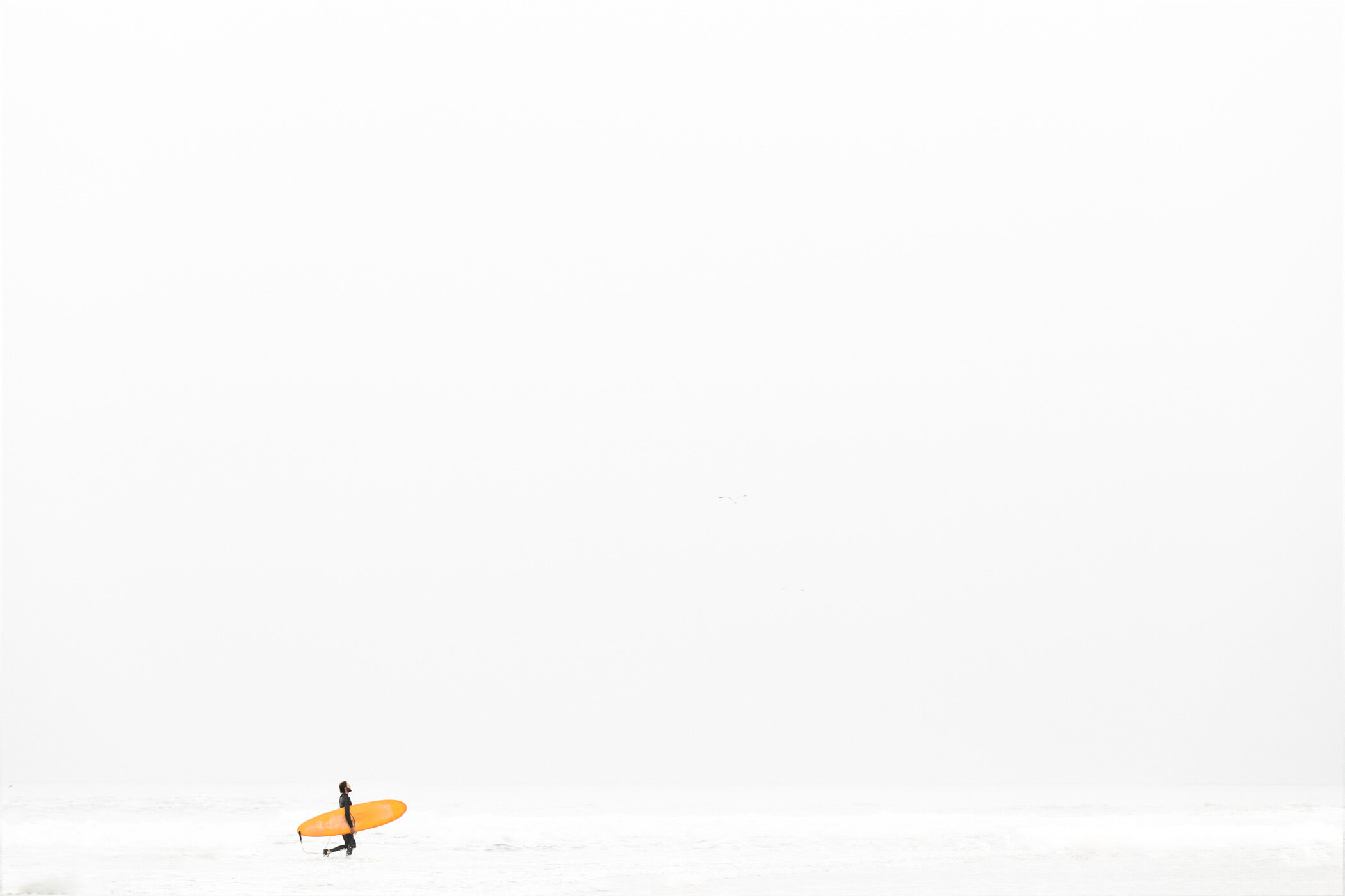 Nomad-web-lukas griffin.jpg