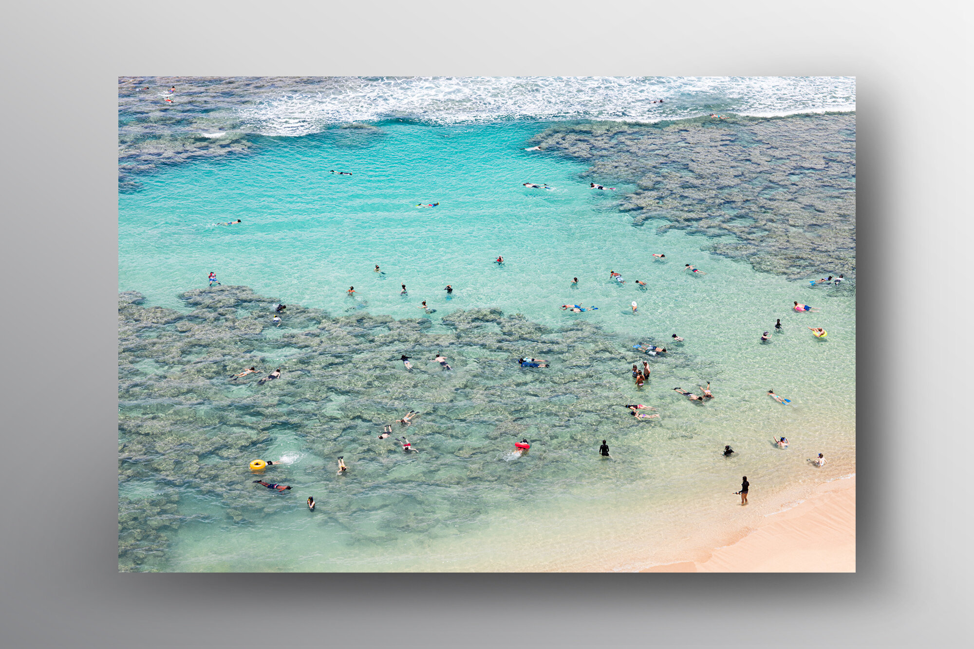 Reef-Floating Frame-Lukas Griffin.jpg